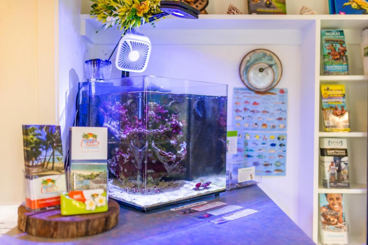 شقة The Cooks Oasis راروتونغا المظهر الخارجي الصورة